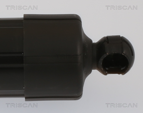 Triscan Gasveer, kofferruimte 8710 27308