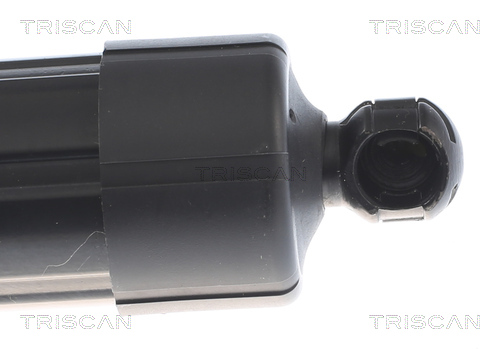 Triscan Gasveer, kofferruimte 8710 27310