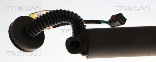 Triscan Gasveer, kofferruimte 8710 27315