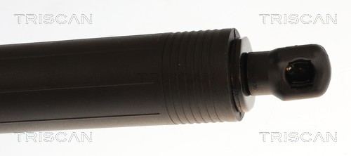 Triscan Gasveer, kofferruimte 8710 27315