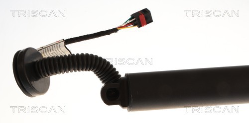 Triscan Gasveer, kofferruimte 8710 27316