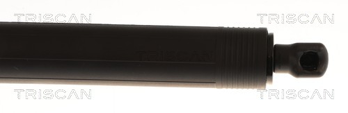 Triscan Gasveer, kofferruimte 8710 27316