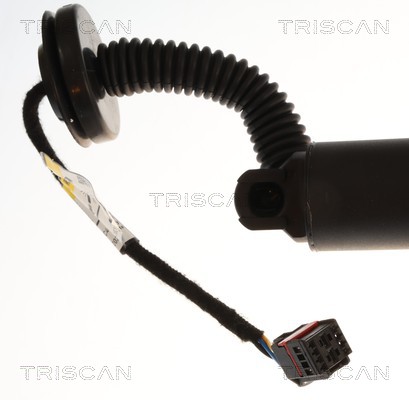Triscan Gasveer, kofferruimte 8710 27316