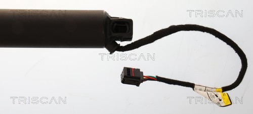 Triscan Gasveer, kofferruimte 8710 27317