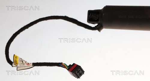 Triscan Gasveer, kofferruimte 8710 27317