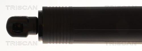 Triscan Gasveer, kofferruimte 8710 27318