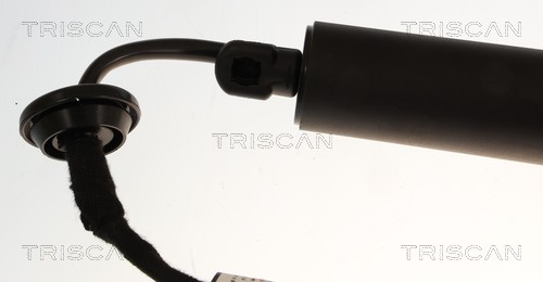 Triscan Gasveer, kofferruimte 8710 27319