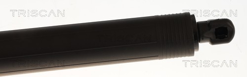 Triscan Gasveer, kofferruimte 8710 27319
