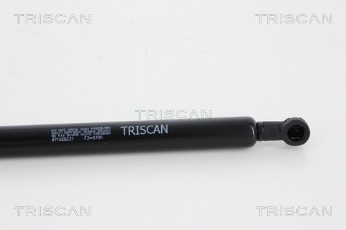 Triscan Gasveer, kofferruimte 8710 28237