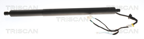 Gasveer, kofferruimte Triscan 8710 28301
