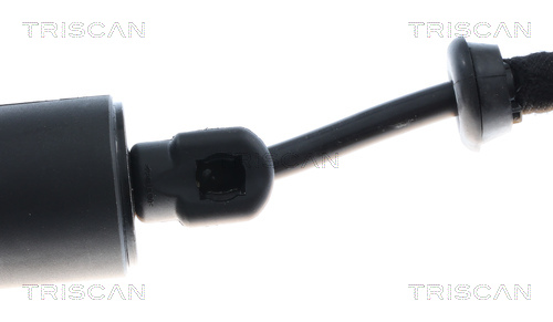 Triscan Gasveer, kofferruimte 8710 28301