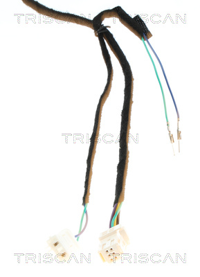 Triscan Gasveer, kofferruimte 8710 28301
