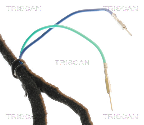 Triscan Gasveer, kofferruimte 8710 28302