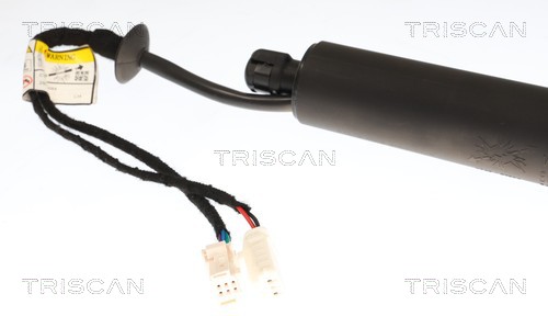 Triscan Gasveer, kofferruimte 8710 28303