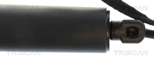 Triscan Gasveer, kofferruimte 8710 28303