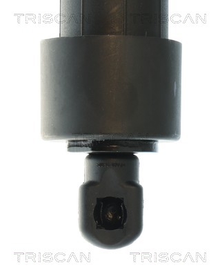 Triscan Gasveer, kofferruimte 8710 28303
