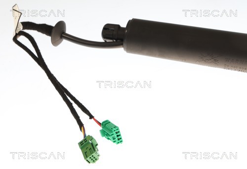 Triscan Gasveer, kofferruimte 8710 28304