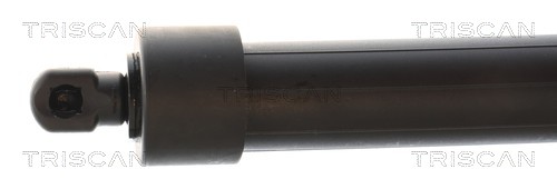 Triscan Gasveer, kofferruimte 8710 28304