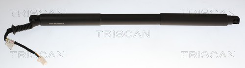 Triscan Gasveer, kofferruimte 8710 28305