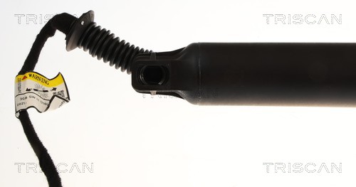 Triscan Gasveer, kofferruimte 8710 28305