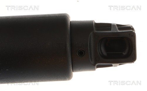 Triscan Gasveer, kofferruimte 8710 28305