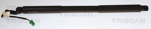 Triscan Gasveer, kofferruimte 8710 28306
