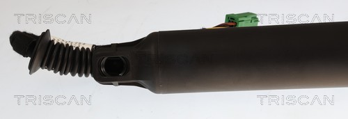 Triscan Gasveer, kofferruimte 8710 28306