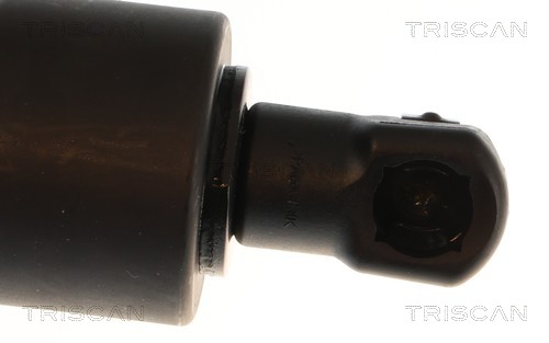 Triscan Gasveer, kofferruimte 8710 28307