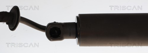 Triscan Gasveer, kofferruimte 8710 28308