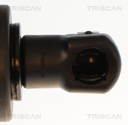 Triscan Gasveer, kofferruimte 8710 28308