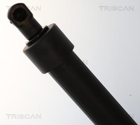 Triscan Gasveer, kofferruimte 8710 28309