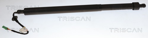 Gasveer, kofferruimte Triscan 8710 28310