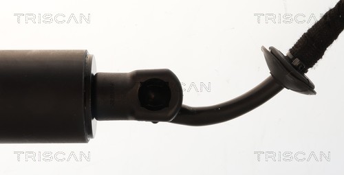 Triscan Gasveer, kofferruimte 8710 28310