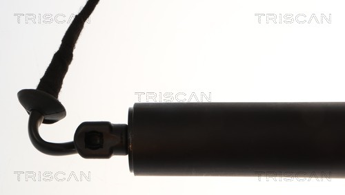 Triscan Gasveer, kofferruimte 8710 28311