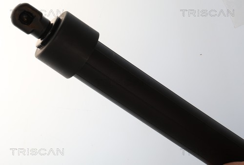 Triscan Gasveer, kofferruimte 8710 28311