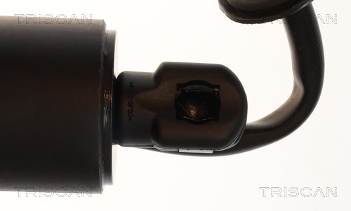 Triscan Gasveer, kofferruimte 8710 28312