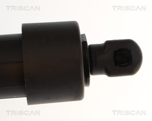 Triscan Gasveer, kofferruimte 8710 28312