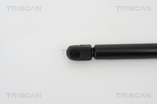 Triscan Gasveer, motorkap 8710 29123