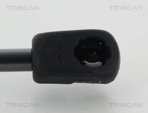 Triscan Gasveer, motorkap 8710 29147