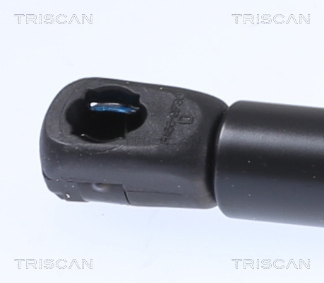 Triscan Gasveer, motorkap 8710 29153