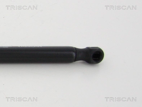 Triscan Gasveer, kofferruimte 8710 292032