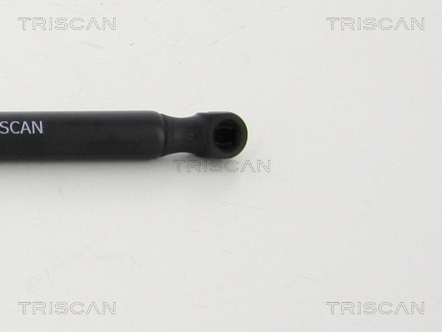 Triscan Gasveer, kofferruimte 8710 292033