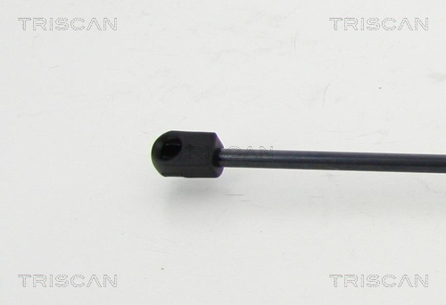 Triscan Gasveer, kofferruimte 8710 292033