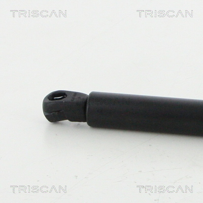 Triscan Gasveer, kofferruimte 8710 292047