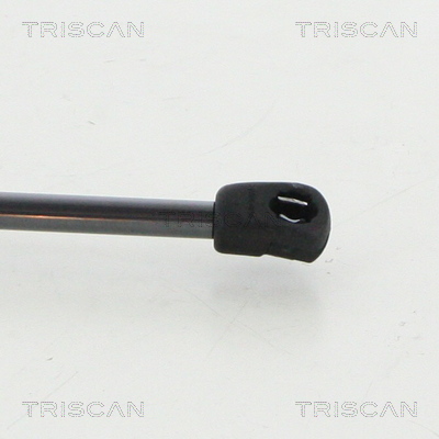 Triscan Gasveer, kofferruimte 8710 292047