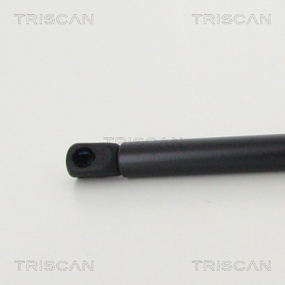 Triscan Gasveer, kofferruimte 8710 292049