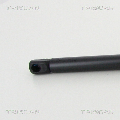 Triscan Gasveer, kofferruimte 8710 292050