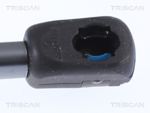 Triscan Gasveer, kofferruimte 8710 292062