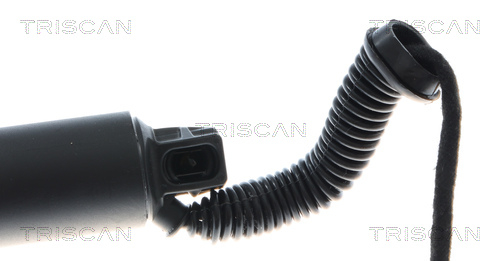 Triscan Gasveer, kofferruimte 8710 292085