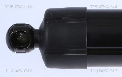 Triscan Gasveer, kofferruimte 8710 29301